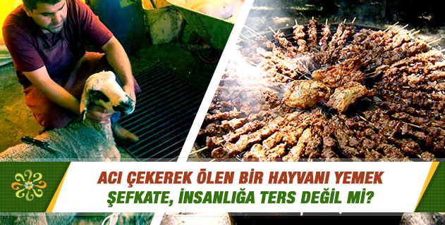 nebahat çehre çocuğu varmı arjantinde arkadaşlık sitesi