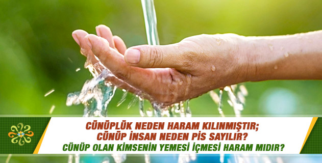 ayışığı rezidans buca