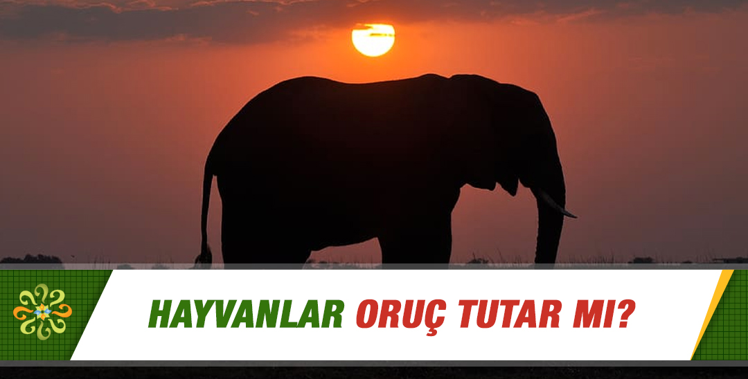 Şiiler ramazanda oruç tutar mı?