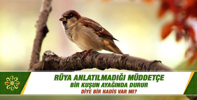 Anlamı Iyi Olan Rüya Anlatılır Mı Anlamı Iyi Olan Rüya Anlatılır Mı
