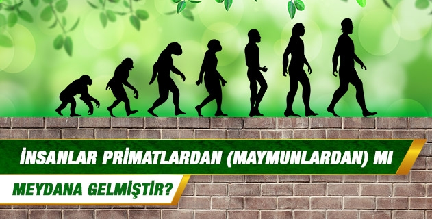 İnsanlar primatlardan (maymunlardan) mı meydana gelmiştir? İnsanlar primatlardan (maymunlardan) mı meydana gelmiştir?