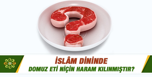 Domuz eti niçin haram kılınmıştır? Domuz eti niçin haram kılınmıştır?