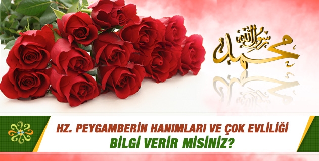 Hz. Peygamber'in hanımları ve çok evliliği konusunda bilgi verir misiniz? Hz. Peygamber'in hanımları ve çok evliliği konusunda bilgi verir misiniz?