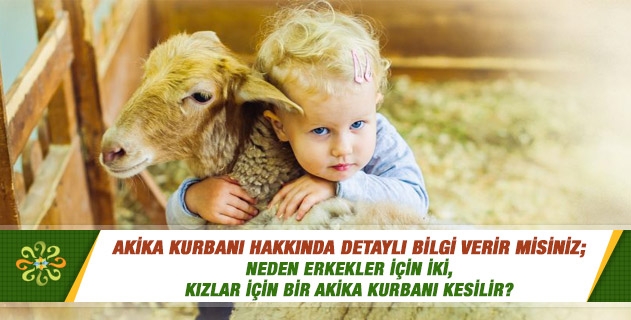 Akika kurbanı hakkında detaylı bilgi verir misiniz; neden erkekler için iki, kızlar için bir akika kurbanı kesilir? Akika kurbanı hakkında detaylı bilgi verir misiniz; neden erkekler için iki, kızlar için bir akika kurbanı kesilir?