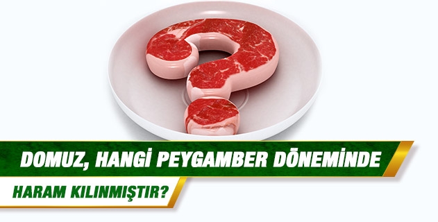 Domuz, hangi peygamber döneminde haram kılınmıştır? Domuz, hangi peygamber döneminde haram kılınmıştır?