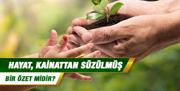 Hayat, kainattan süzülmüş bir özet midir? Hayat, kainattan süzülmüş bir özet midir?