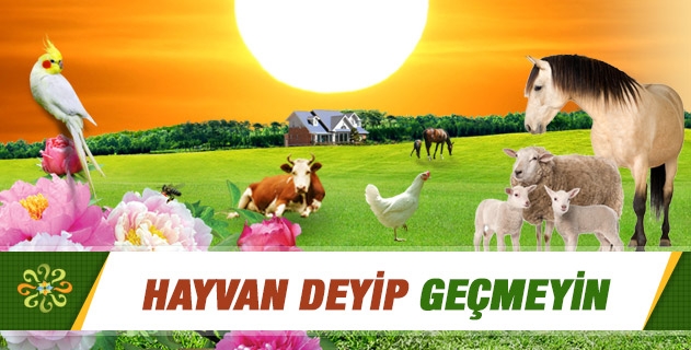 Hayvan Deyip Geçmeyin