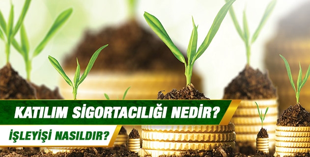 Katılım sigortacılığı nedir? İşleyişi nasıldır?