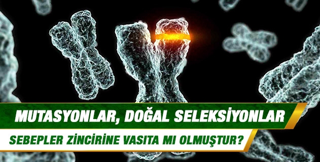 Mutasyonlar, doğal seleksiyonlar sebepler zincirine vasıta mı olmuştur?