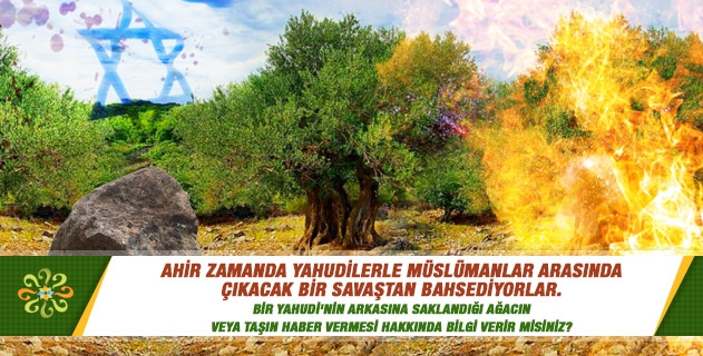 Ahir zamanda Yahudilerle Müslümanlar arasında çıkacak bir savaştan bahsediyorlar. Bir Yahudi'nin arkasına saklandığı ağacın veya taşın haber vermesi hakkında bilgi verir misiniz? Ahir zamanda Yahudilerle Müslümanlar arasında çıkacak bir savaştan bahsediyorlar. Bir Yahudi'nin arkasına saklandığı ağacın veya taşın haber vermesi hakkında bilgi verir misiniz?