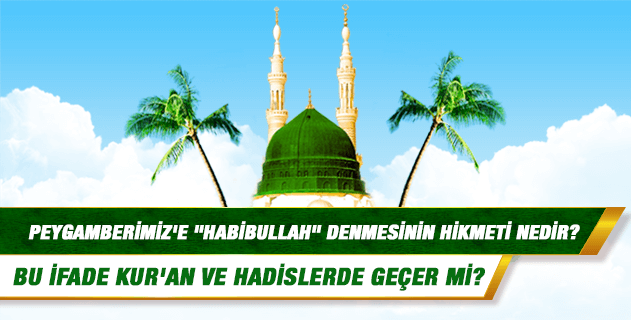 Allah'ın, Peygamberimiz'e "Habibullah" demesinin hikmeti nedir? Bu ifade Kur'an ve hadislerde geçer mi? Allah'ın, Peygamberimiz'e "Habibullah" demesinin hikmeti nedir? Bu ifade Kur'an ve hadislerde geçer mi?
