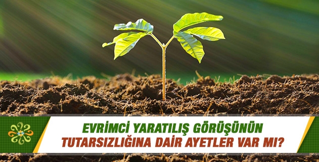 Evrimci yaratılış görüşünün tutarsızlığına dair ayetler var mı? Evrimci yaratılış görüşünün tutarsızlığına dair ayetler var mı?
