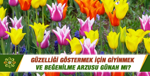 Güzelliği göstermek için giyinmek ve beğenilme arzusu günah mı? Güzelliği göstermek için giyinmek ve beğenilme arzusu günah mı?
