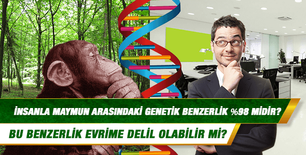 İnsanla maymun arasındaki genetik benzerlik %98 midir? Bu benzerlik evrime delil olabilir mi? İnsanla maymun arasındaki genetik benzerlik %98 midir? Bu benzerlik evrime delil olabilir mi?