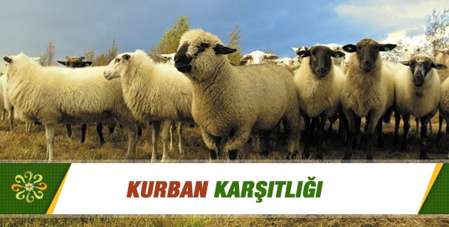 Kurban Karşıtlığı