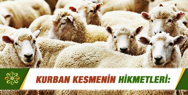 Kurban Kesmenin Hikmetleri: