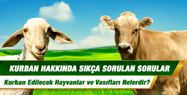 Kurban