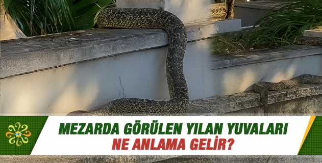Mezarda görülen yılan yuvaları ne anlama gelir?