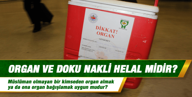 Organ bağışı, organ ve doku nakli helal midir? Müslüman olmayan bir kimseden organ almak ya da ona organ bağışlamak uygun mudur? Organ bağışı, organ ve doku nakli helal midir? Müslüman olmayan bir kimseden organ almak ya da ona organ bağışlamak uygun mudur?