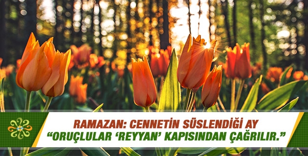 Ramazan Cennetin Süslendiği Ay Ramazan Cennetin Süslendiği Ay