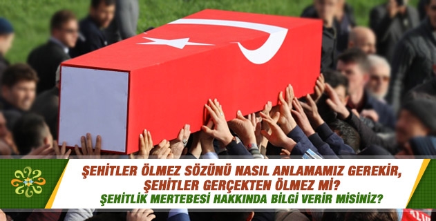 Şehitler ölmez sözünü nasıl anlamamız gerekir, şehitler gerçekten ölmez mi?.. Şehitlik mertebesi hakkında bilgi verir misiniz? Sadece savaş sırasında ölenler mi şehit olur?.. Abdestliyken ölen kişi şehit olur mu? Şehitler ölmez sözünü nasıl anlamamız gerekir, şehitler gerçekten ölmez mi?.. Şehitlik mertebesi hakkında bilgi verir misiniz? Sadece savaş sırasında ölenler mi şehit olur?.. Abdestliyken ölen kişi şehit olur mu?