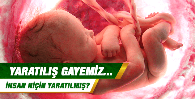 Yaratılış Gayemiz