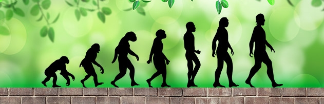 İnsanlar primatlardan (maymunlardan) mı meydana gelmiştir?