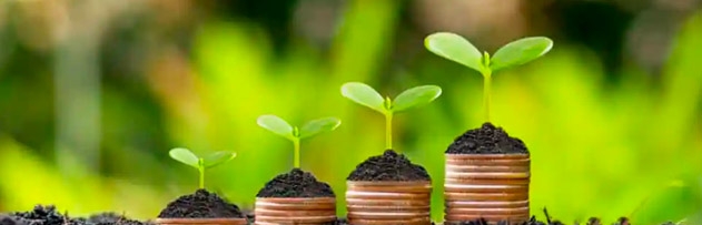 Helal yönden nasıl finansal özgürlüğümüzü sağlarız? Helal yönden nasıl finansal özgürlüğümüzü sağlarız?