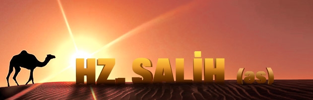 Hz. Salih'in hayatı hakkında bilgi verir misiniz?