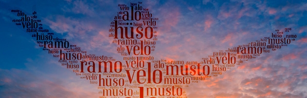 İsimleri ramo, alo, velo, musto, hüso diyerek kısaltmak günah mı? İsimleri ramo, alo, velo, musto, hüso diyerek kısaltmak günah mı?