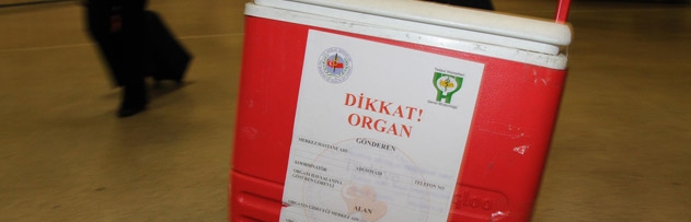 Organ bağışı, organ ve doku nakli helal midir? Müslüman olmayan bir kimseden organ almak ya da ona organ bağışlamak uygun mudur?