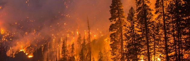 Orman yangınlarında Allah oradaki insanları imtihan mı ediyor?