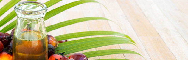 Palm yağı ve yiyeceklerdeki palm yağı haram mı?